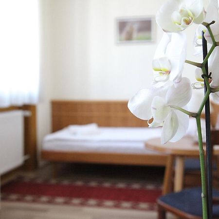 Hotel Corvinus Zalaszentgrot Екстер'єр фото